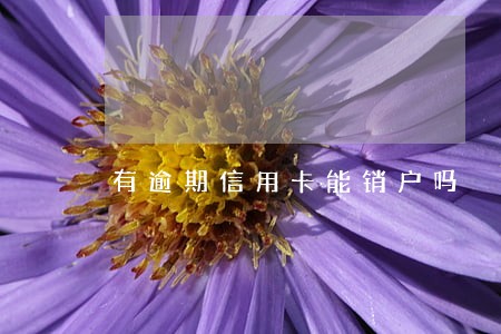 有逾期信用卡能销户吗