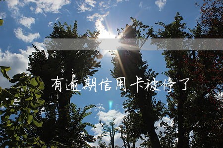 有逾期信用卡被停了