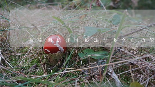 有逾期信用卡被冻结多久自动解冻 有逾期信用卡被冻结多久自动解冻