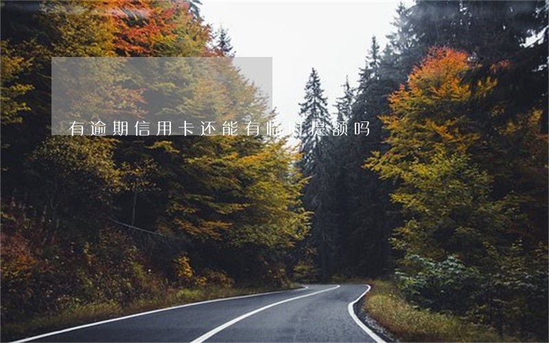 有逾期信用卡还能有临时提额吗 有逾期信用卡还能有临时提额吗