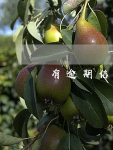 有逾期信用卡还能申请么 有逾期信用卡还能申请么