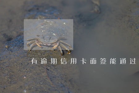 有逾期信用卡面签能通过吗 有逾期信用卡面签能通过吗