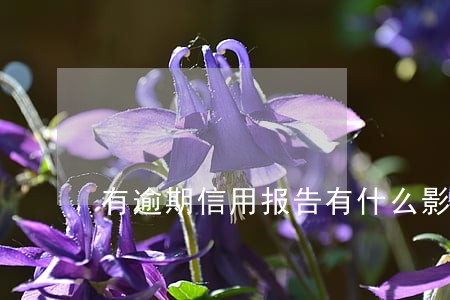 有逾期信用报告有什么影响 有逾期信用报告有什么影响