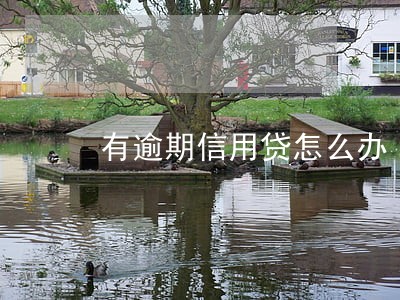 有逾期信用贷怎么办 有逾期信用贷怎么办