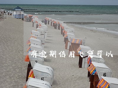 有逾期信用飞贷可以 有逾期信用飞贷可以