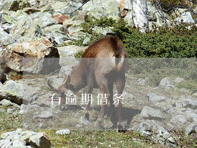 有逾期借条 有逾期借条
