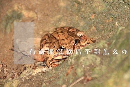 有逾期借款借不到怎么办 有逾期借款借不到怎么办