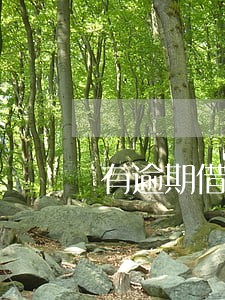 有逾期借款大王还能下吗