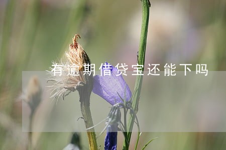 有逾期借贷宝还能下吗 有逾期借贷宝还能下吗