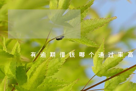 有逾期借钱哪个通过率高 有逾期借钱哪个通过率高