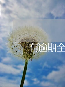 有逾期全部还完能办房贷吗 有逾期全部还完能办房贷吗