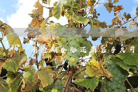有逾期全部还清后多久可以买房 有逾期全部还清后多久可以买房