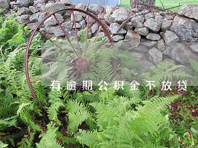 有逾期公积金不放贷 有逾期公积金不放贷