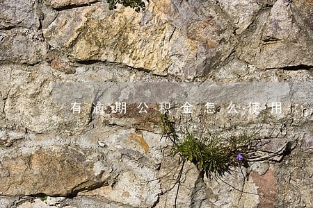 有逾期公积金怎么使用 有逾期公积金怎么使用