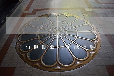 有逾期公积金能提嘛 有逾期公积金能提嘛