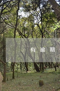 有逾期公积金贷款利率会上涨吗 有逾期公积金贷款利率会上涨吗