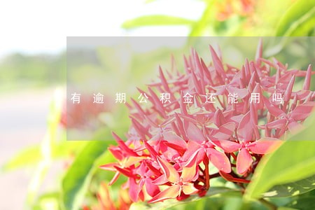 有逾期公积金还能用吗 有逾期公积金还能用吗