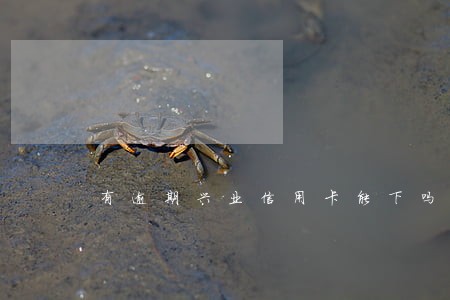 有逾期兴业信用卡能下吗 有逾期兴业信用卡能下吗