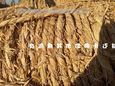 有逾期其他信用卡还能用吗 有逾期其他信用卡还能用吗
