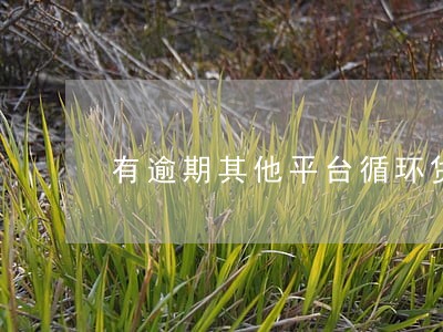 有逾期其他平台循环贷不能借 有逾期其他平台循环贷不能借