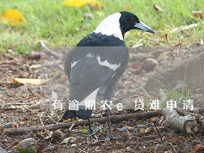 有逾期农e贷难申请 有逾期农e贷难申请