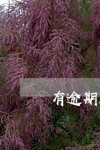 有逾期几个月的吗 有逾期几个月的吗