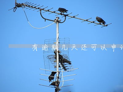 有逾期几天还可以申请装修贷吗 有逾期几天还可以申请装修贷吗
