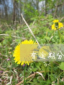 有逾期分期买手机 有逾期分期买手机