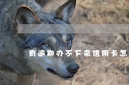 有逾期办不下来信用卡怎么办 有逾期办不下来信用卡怎么办