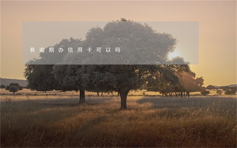 有逾期办信用卡可以吗 有逾期办信用卡可以吗