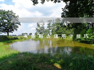 有逾期办信用卡技巧