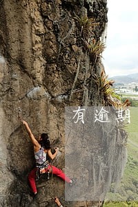 有逾期办信用卡秒拒 有逾期办信用卡秒拒