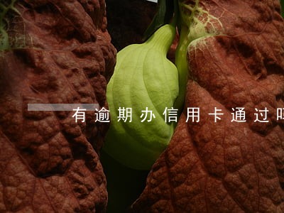 有逾期办信用卡通过吗 有逾期办信用卡通过吗