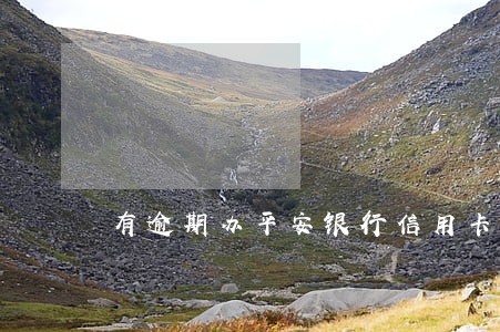 有逾期办平安银行信用卡吗 有逾期办平安银行信用卡吗