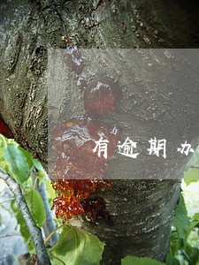 有逾期办浦发信用卡吗