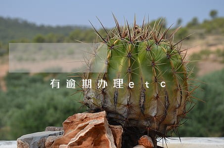有逾期办理etc 有逾期办理etc