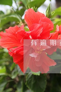 有逾期办理不了信用卡 有逾期办理不了信用卡