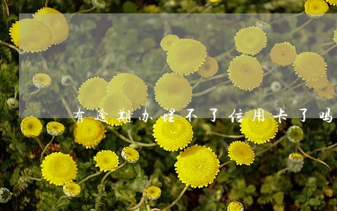 有逾期办理不了信用卡了吗 有逾期办理不了信用卡了吗