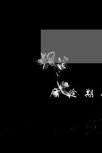 有逾期办理车贷过了 有逾期办理车贷过了