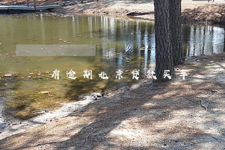 有逾期北京贷款买车