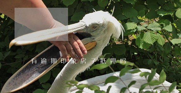 有逾期印象房子抵押吗 有逾期印象房子抵押吗