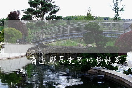 有逾期历史可以贷款买车嘛 有逾期历史可以贷款买车嘛