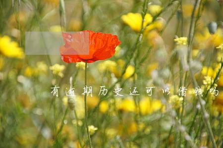有逾期历史还可以借钱吗 有逾期历史还可以借钱吗