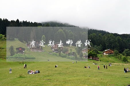 有逾期去哪借钱 有逾期去哪借钱