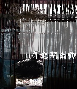 有逾期去哪分期买车 有逾期去哪分期买车