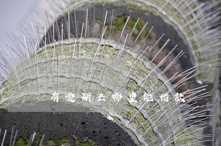 有逾期去哪里能借款 有逾期去哪里能借款