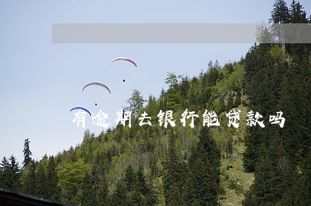 有逾期去银行能贷款吗 有逾期去银行能贷款吗