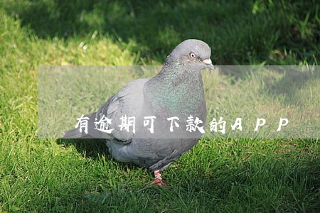有逾期可下款的APP