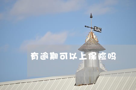 有逾期可以上保险吗 有逾期可以上保险吗