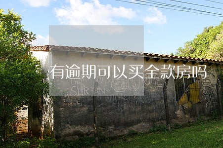 有逾期可以买全款房吗 有逾期可以买全款房吗